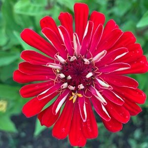 Meet your Posher, Jenny